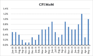 cpi mom 6 10 22